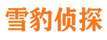 洪雅外遇调查取证